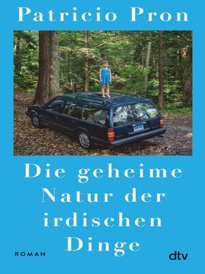 cover image of Die geheime Natur der irdischen Dinge